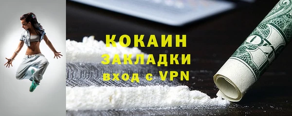 твердый Арсеньев