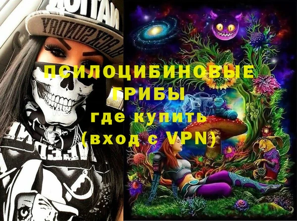 твердый Арсеньев