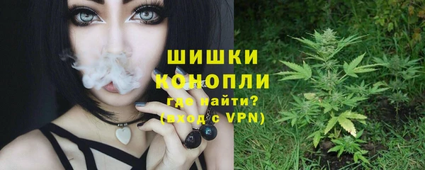 твердый Арсеньев