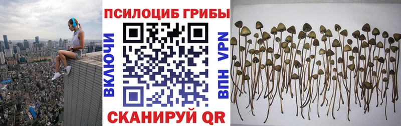 блэк спрут ONION  купить наркотик  Хвалынск  Галлюциногенные грибы ЛСД 